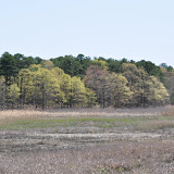 DSC_0593.JPG