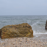 DSC_0545.JPG