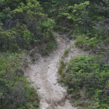 DSC_0556.JPG