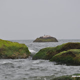 DSC_0575.JPG