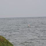 DSC_0579.JPG