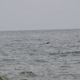 DSC_0580.JPG