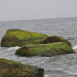 DSC_0592.JPG
