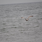 DSC_0630.JPG