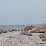DSC_0641.JPG