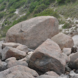 DSC_0642.JPG