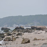 DSC_0644.JPG