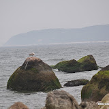 DSC_0646.JPG
