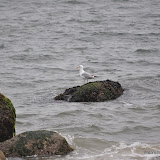 DSC_0647.JPG