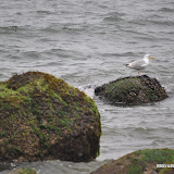 DSC_0655.JPG