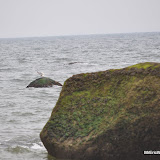 DSC_0684.JPG