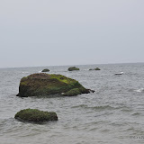 DSC_0714.JPG
