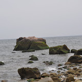 DSC_0715.JPG