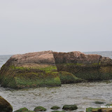 DSC_0716.JPG