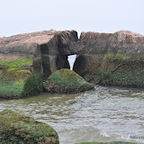 DSC_0721.JPG