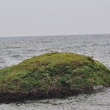 DSC_0729.JPG