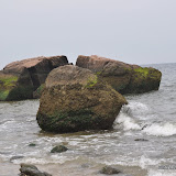 DSC_0736.JPG