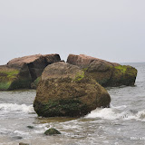DSC_0735.JPG