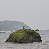 DSC_0748.JPG