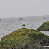 DSC_0752.JPG