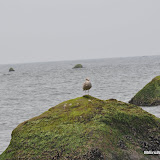 DSC_0751.JPG