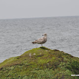 DSC_0754.JPG