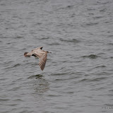 DSC_0757.JPG