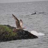DSC_0756.JPG