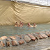 DSC00372.JPG