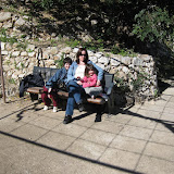 2009 02 07 Carnavale 053.jpg