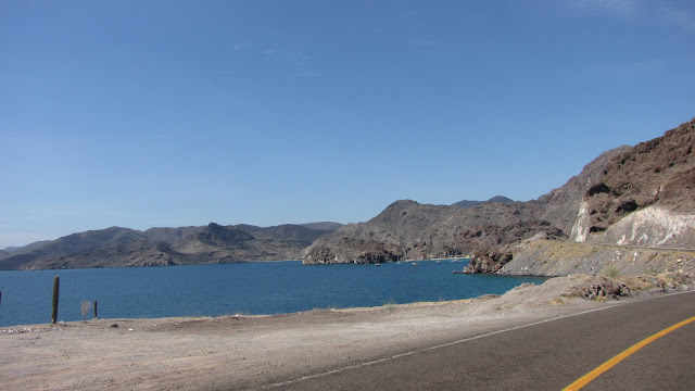 IMG_4329.JPG
