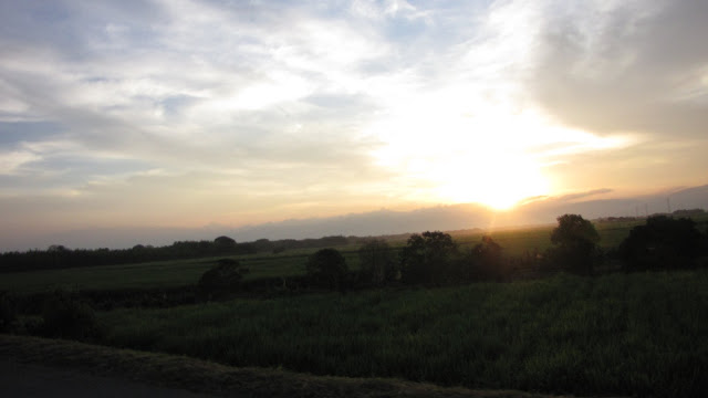 IMG_8323.JPG