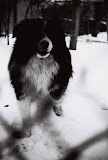 000031-46.JPG
