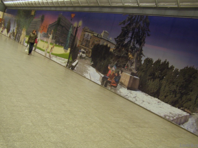 P4222230.JPG