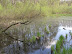 P4242263.JPG