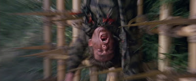 The Green Berets Peterso'n Death