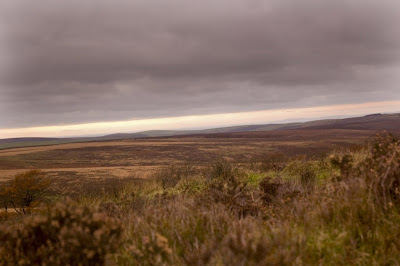 Devon Photos