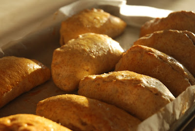 A tray full of Cabbage + Egg Pirozhki