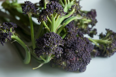 Purple Sprouting Broccoli