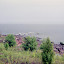 Островные экспедиции - RRC экспедиция на форт Павел. 2001 г.