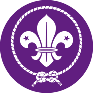 [300px-Logo_scout_WOSM[3].png]