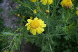 DSC08080.JPG