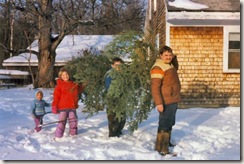 1987 Bringing in the tree Millay Road