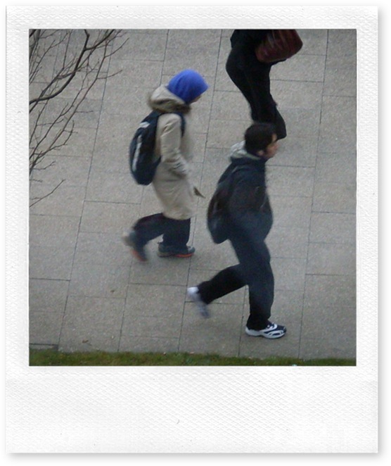 SDC10050 (2)