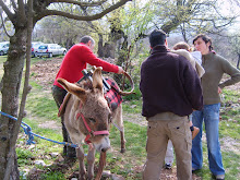 Balade avec les ânes lors d'un week-end en famille au gîte du Rancas
