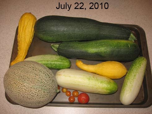 [IMG_0728web5[4].jpg]