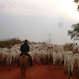 trânsito na estrada de acesso.jpg