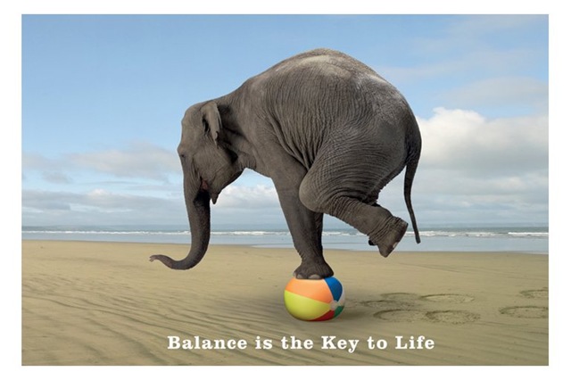 [elephant-balance.jpg]