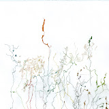 rivers_as_plants.jpg Shona Macdonald
