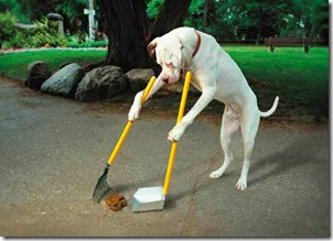 Cane Ecologista Cane Ecologista